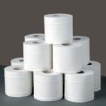 Toilet tissue paper roll