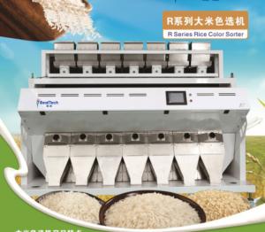Quality R10, Huge capacity rice color sorter, 640channels large CCD color sorter, Big rice sorter wholesale