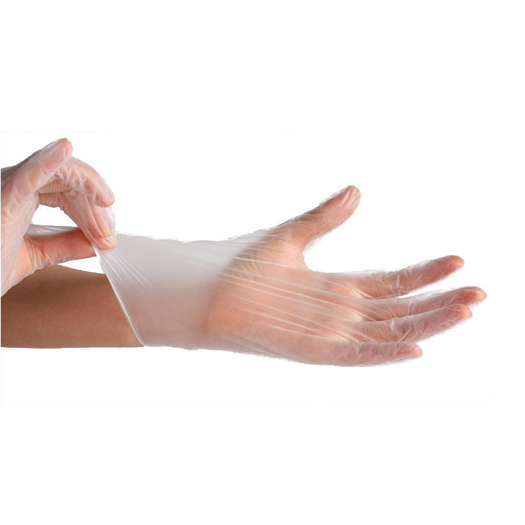 Vinyl Gloves Disposable Clear PVC Gloves9 Inches Powder-Free 100pcs in Box