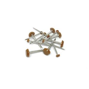 Quality Ral 8003 Brown Anti UV Plastic Head Pins &amp; Nails For Roofing 2.0 / 3.0X40mm wholesale