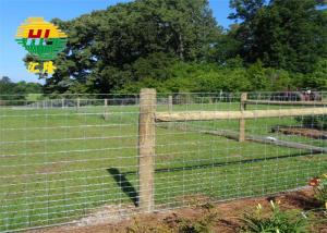 China 5ft Height Galvanized Hinge Joint Wire Mesh For Sheep Or Cattle Farm Fence on sale