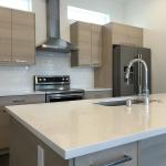 Professional of Solid Wood Modern Kitchen Cabinets for High End Distribution