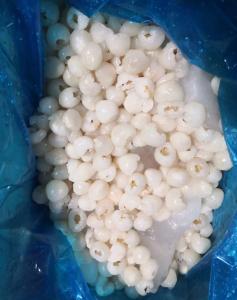 Quality Crop Fresh Iqf Frozen Lychee Whole wholesale