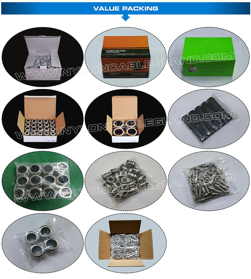 SS304, SS316 & SS316L Stainless Steel PG9 Cable Gland, IP68 Hermetic Electrical Gland Connector for 4-8mm Wire