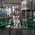 18000BPH Automatic Bottle Ginger Ale Carbonated Drink Filling Machine DCGF32-32