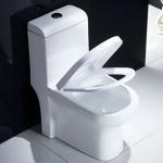 ADA One Piece Elongated Toilet Porcelain Water Closet White Europe Style Ceramic