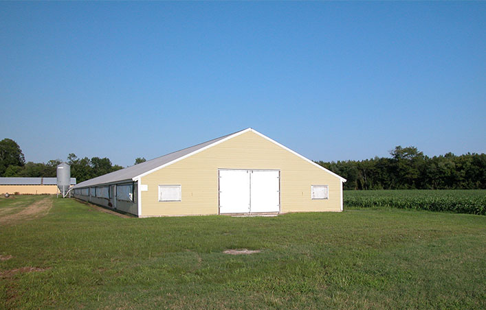 Safety Lightweight Steel Frame Chicken Coop Customized For Poultry Farming