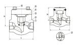 Forged Check Valve