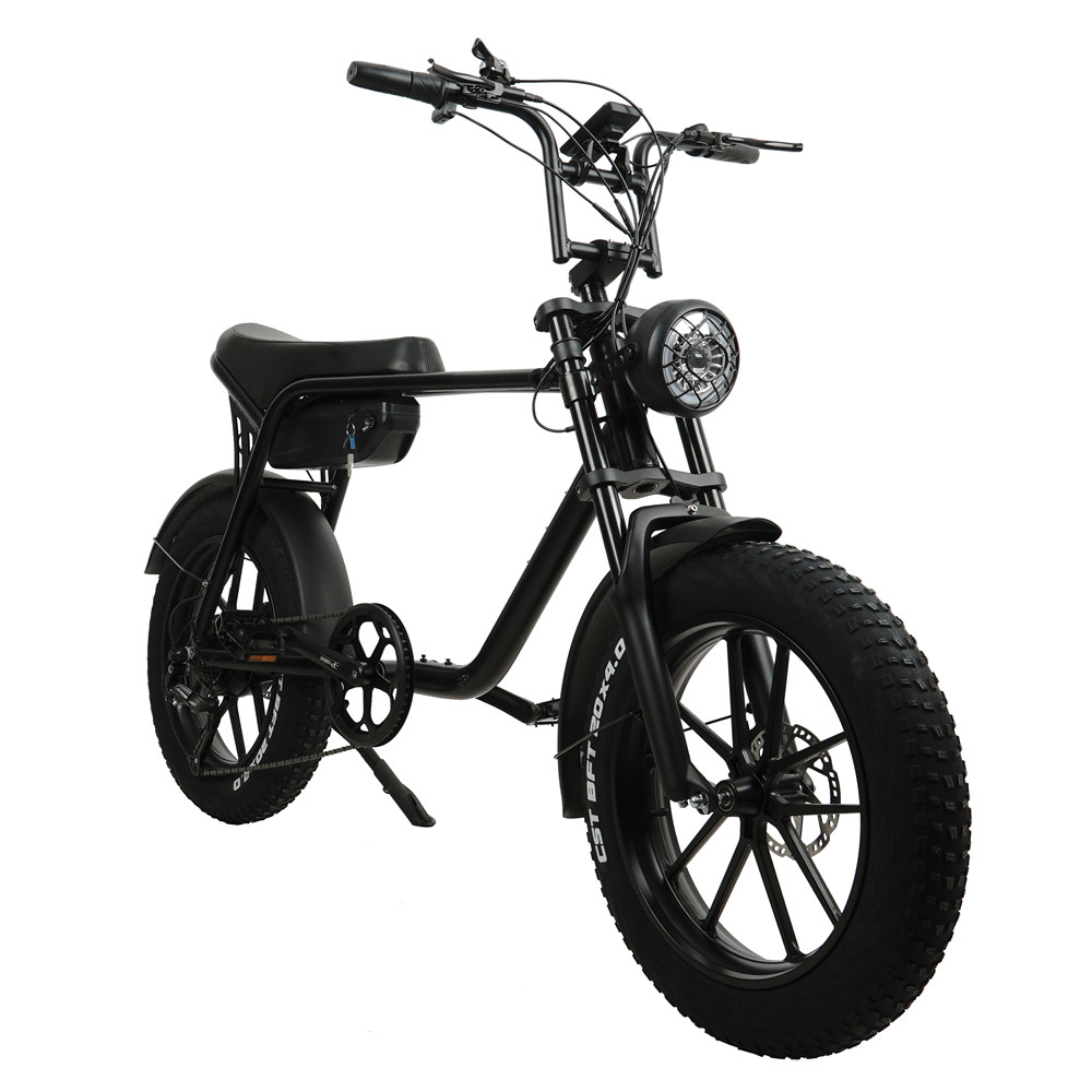 48V 15AH 750W Super 7 3 Fat Wheel Electric Bike With 10 Beams Integrated Wheel
