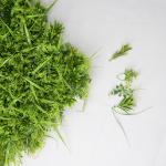 Supermarket Artificial Grass Wall Decor 25mm 40mm