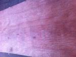 Commercial Plywood/Ordinary Plywood/Fancy Plywood/Veneered Plywood/Decorative