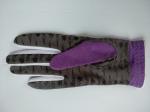 golf glove , golf gloves , glove , gloves