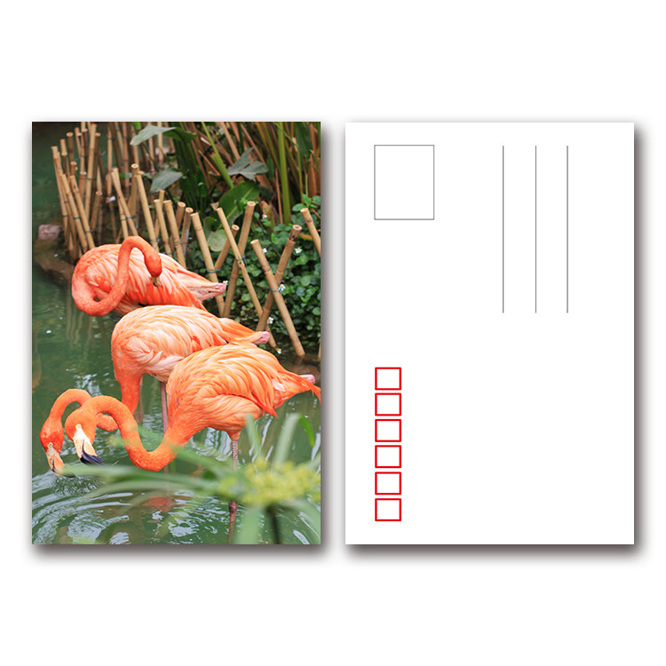 Digital Printing Name 3d Plastic Business Cards Size 8.0x5.4cm Alkali - Resistant