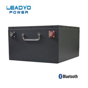 Quality 100ah 24V Lifepo4 Battery Parallel No Limit Built in heat sink For RV wholesale