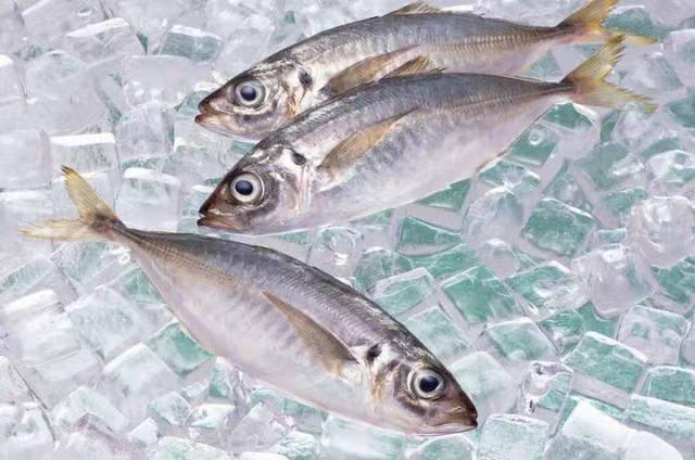 Seafood Cold Storage Meat Ice Cream Freezer Cold Room