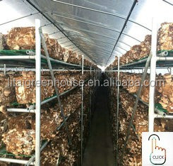 PE Double Film Tunnel Inflatable Greenhouse for All-Weather Protection