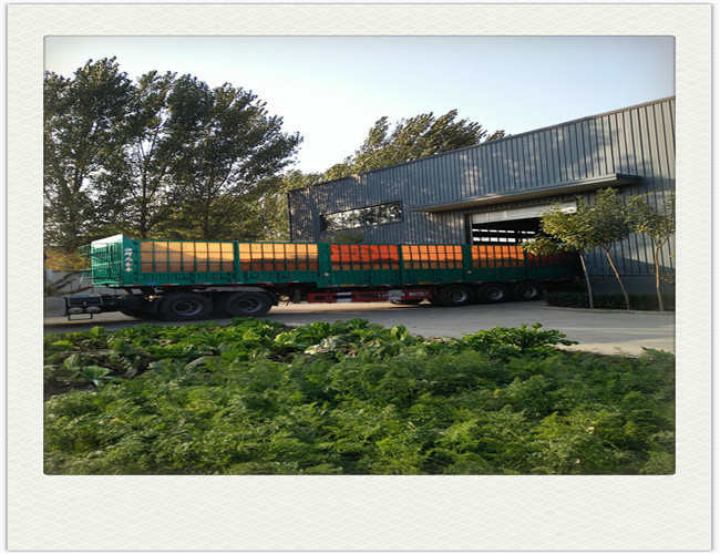 Extruded Polypropylene Plastic Mesh Netting Hexagonal Hole 25g/m2 - 300g/m2