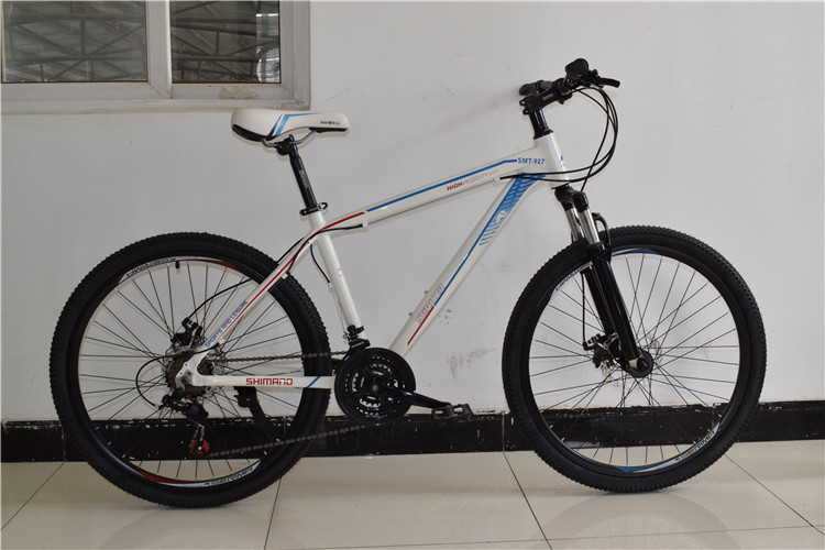 Made in China CE standard 26 inch steel 21 speed mountain bike MTB bicycle/bicicle