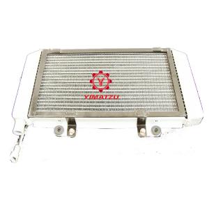 Quality Yimatzu ATV Parts RADIATOR ASSY for Buyang FA-K550 N550 EEC EPA wholesale