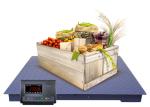 2M RS232 LED Portable Floor Scale Carbon Steel