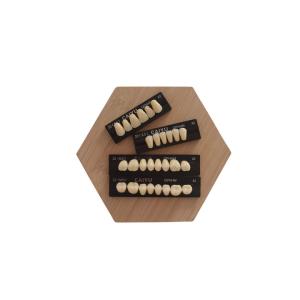 Quality High Strength Dental Acrylic Resin Teeth Compatible With VITA System wholesale