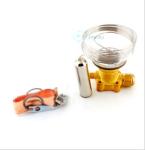 Tes55 Series R404a / R507 / - 40 ℃ Valves 067g3301 5m