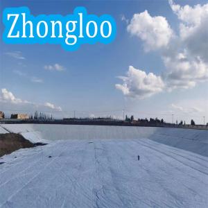 Quality Polyester Polypropylene Woven Geotextile Drainage Membrane 4m 50m wholesale