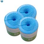 Factory Direct Sale Uv-treated Polypropylene Baler Twine Square Baler Twine Hay