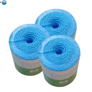Quality Factory Direct Sale Uv-treated Polypropylene Baler Twine Square Baler Twine Hay Baler Twine wholesale