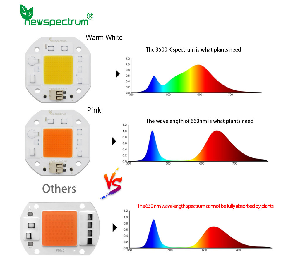 50W LED Grow Chip