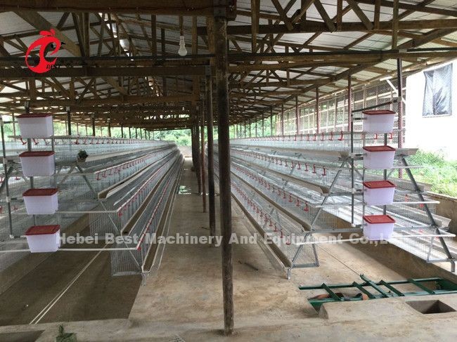 Automatic Manure Scraper And Belt Type Designed For Chicken Farm Sandy