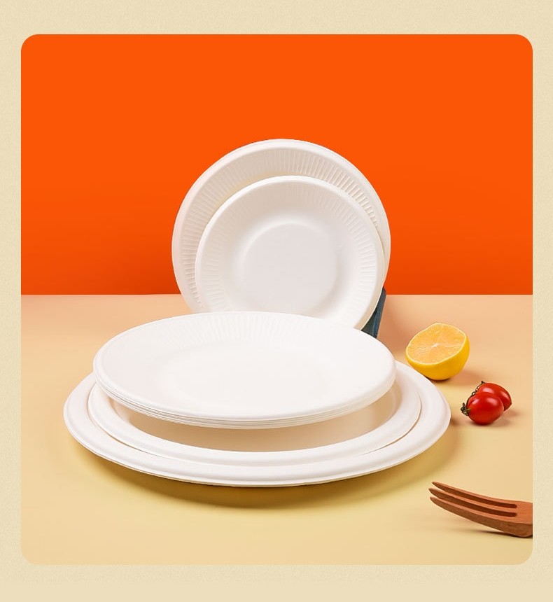 Sugarcane Bagasse White Biodegradable Food Plate Compostable