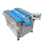 TOUPACK Belt Scale Conveyor