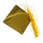 OEM ODM Construction Colored Stainless Steel Sheet 2000mm 2438mm Length