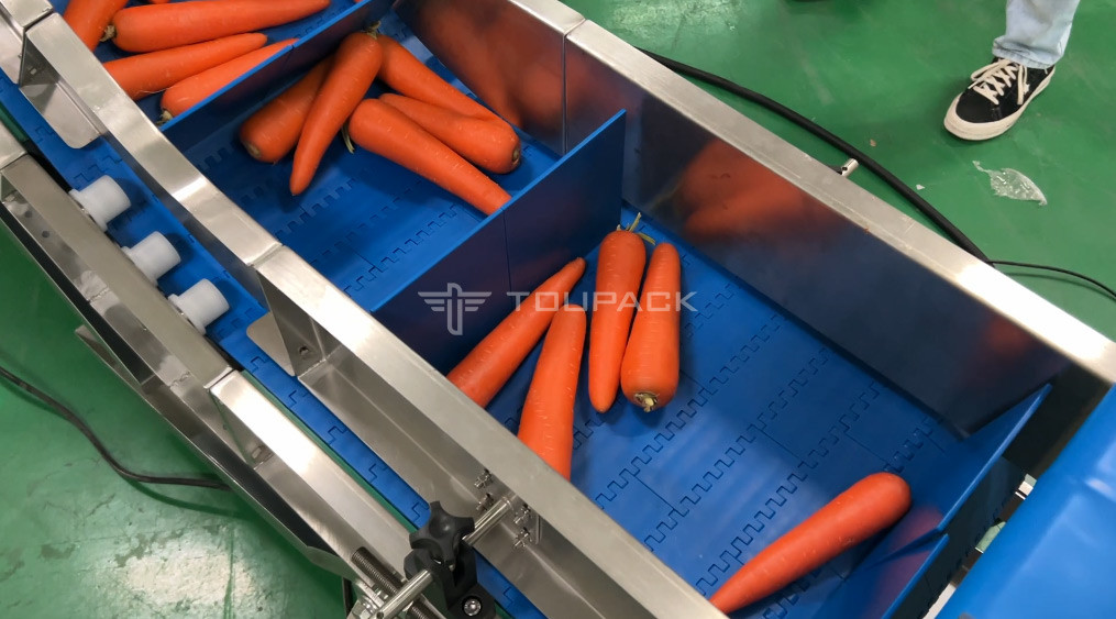 Semi Auto Carrot Weighing And Packaging Machine Vegetable Mesh Bag Packing Machine