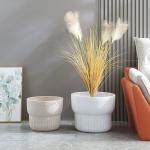 Smooth Surface Fiber Clay Planters In Outdoor Space