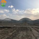 Film Cover Galvanized Skeleton Agricultural Equipment for Mushroom Growing