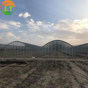 Quality Easy Installation High Tunnel Agriculture Greenhouse for Small Farms Single Layer wholesale