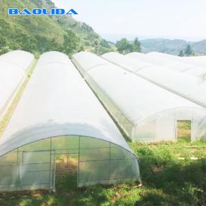 Quality Vegetable Single Span Greenhouse Polycarbonate Sheet Covering wholesale