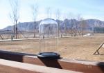 Big glass dome for display doll fake flower or decoration with wood base