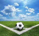 Plastic Flat Football Synthetic Grass Chemical Free Environment Protection