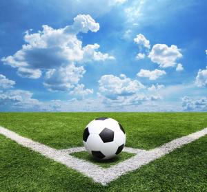 Quality Plastic Flat Football Synthetic Grass Chemical Free Environment Protection wholesale