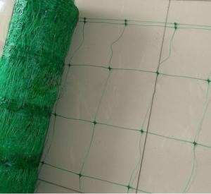 Quality Green Plant Support Netting wholesale
