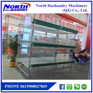 Quality Paket Peralatan Kandang Ayam wholesale