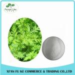 Hot Sale Low Price Cancer Treatment China Organic Fresh Artemisia Annua Extract