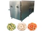 200KG Freeze Dry Fruit Machine Touch Screen And Air Cooling