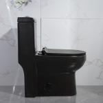 Low Profile American Standard One Piece Elongated Toilet Tall Black 1.6Gpf