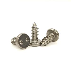 Quality 304 Stainless Steel Snake-Eye Security Self-Tapping Screw wholesale