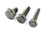 Anodizing M8 T20 Electronic Stainless Steel Bolts DIN934