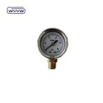 40mm Dial Ss304 Case Pointer Type Bourodon Tube Vertical 0-10bar /psi Oil Filled